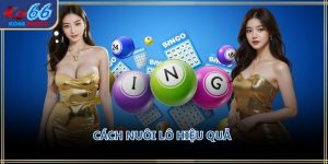 Cách nuôi lô hiệu quả KO66: Chiến lược chơi bền bỉ 2026